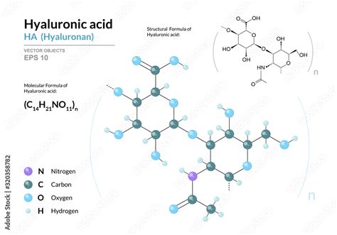 hyaluronin|hyaluronan vs hyaluronic acid.